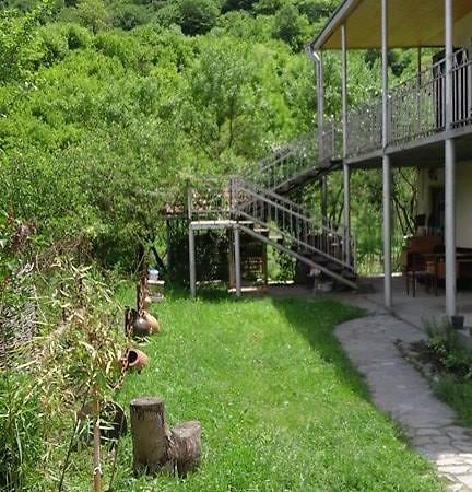 Marine'S Guest House Ananuri Екстер'єр фото