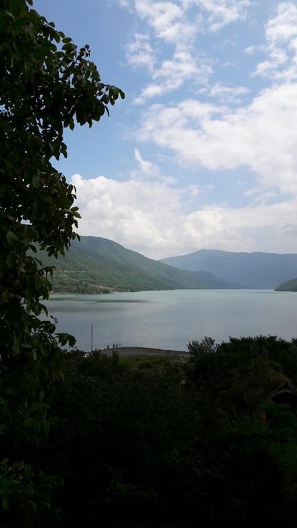 Marine'S Guest House Ananuri Екстер'єр фото