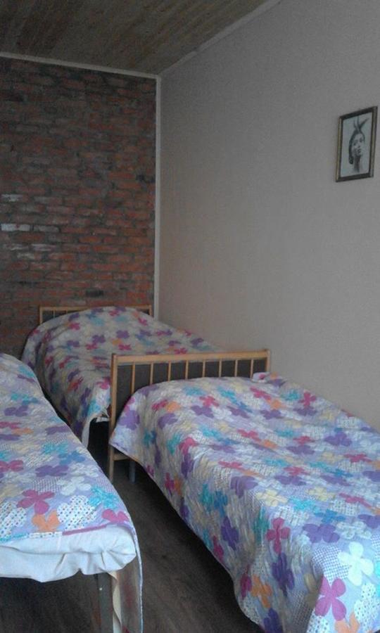 Marine'S Guest House Ananuri Екстер'єр фото