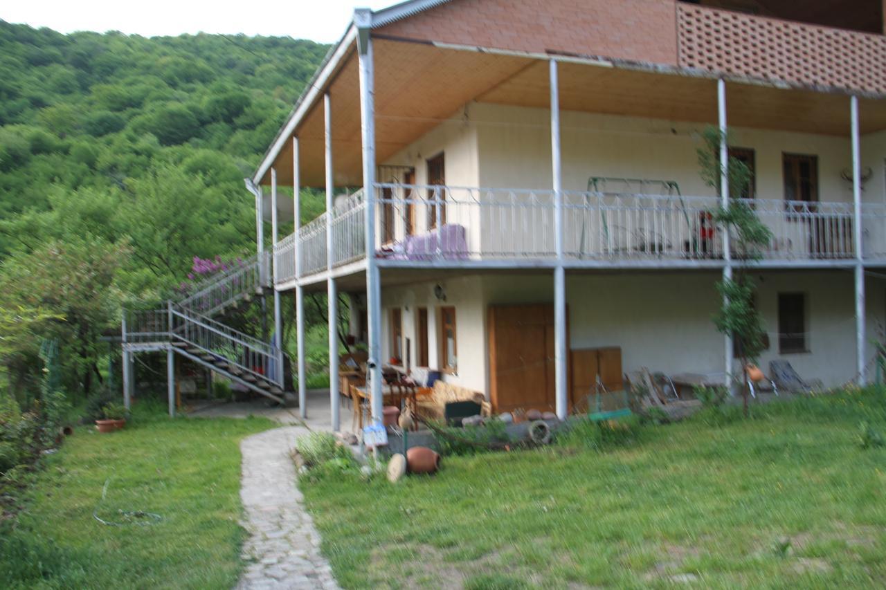 Marine'S Guest House Ananuri Екстер'єр фото